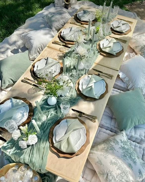 Lux Picnic Setup